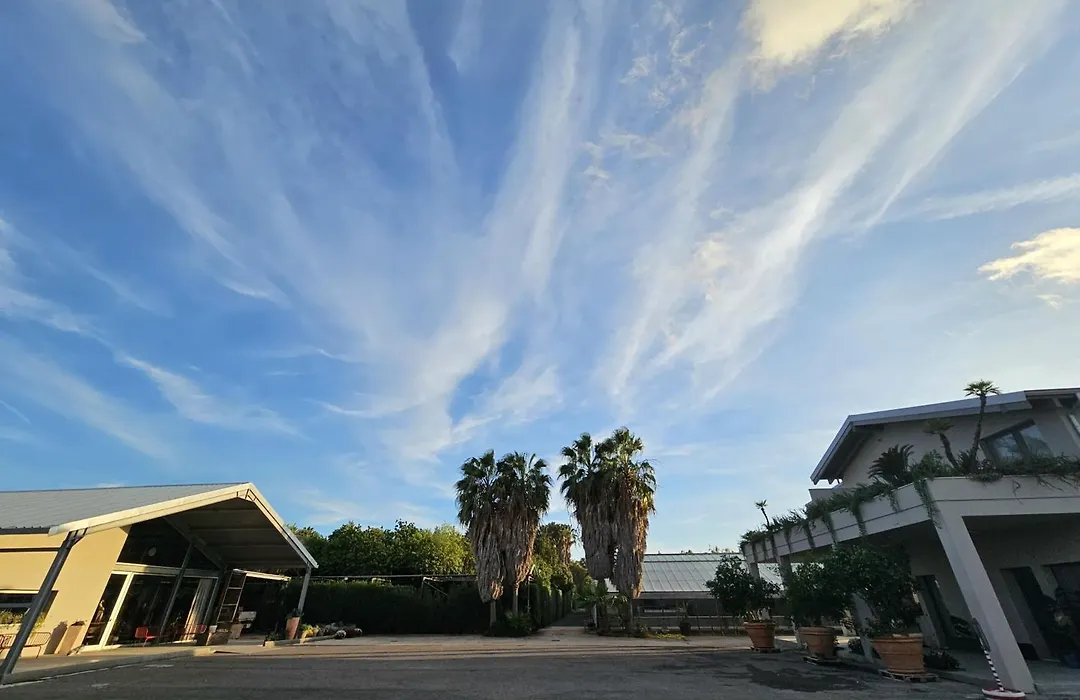 Ros'E Mari Green Home Hotel-1